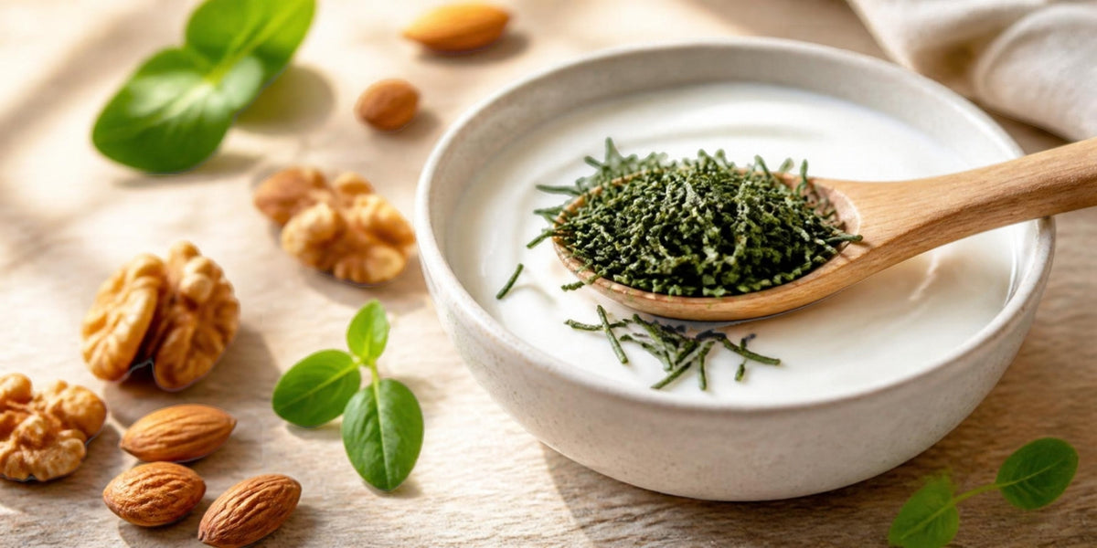 Cucchiaino di spirulina bio spaghettini croccante con yogurt e frutta secca, cibo sano