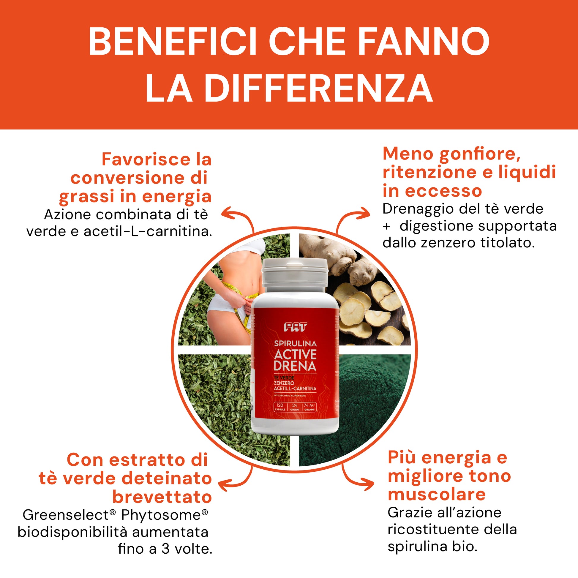 bodytech carnipure l carnitine Carnidyn Plus - Integratore per stanchezza fisica e mentale